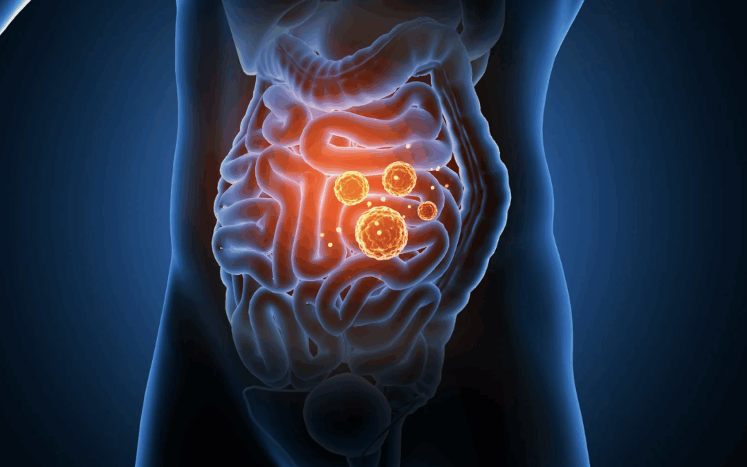 Salud Intestinal: Cocina consciente para nutrir desde adentro