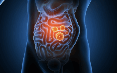 Salud Intestinal: Cocina consciente para nutrir desde adentro