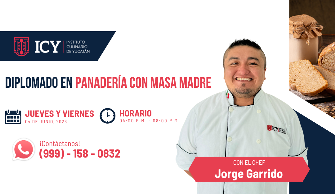 Diplomado en Panadería con Masa Madre: El Retorno al Origen y la Maestría Técnica